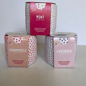 Buzzy Mini Grow Kits - set of 3